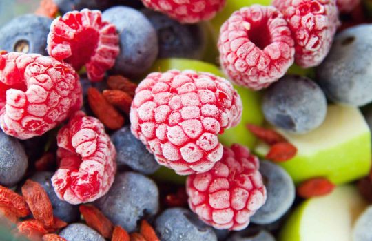 פירות קפואים2